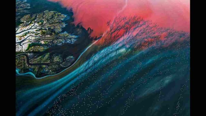 ZIPA 2025 Marks a Landmark Global Debut